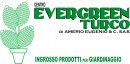 Centro Evergreen Turco